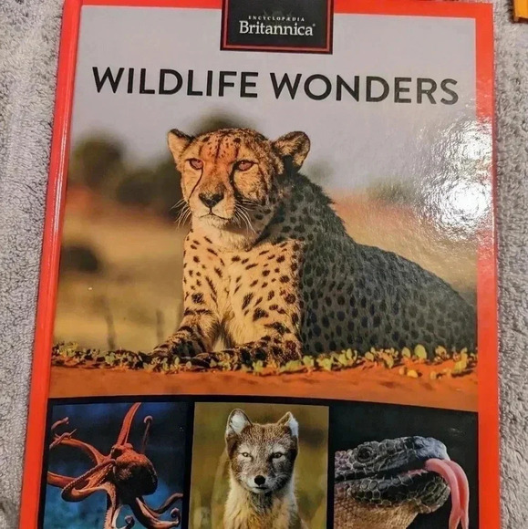 Encyclopedia Britannica How Things Work Planet Earth Transportation Set of 6 HC - Picture 9 of 12